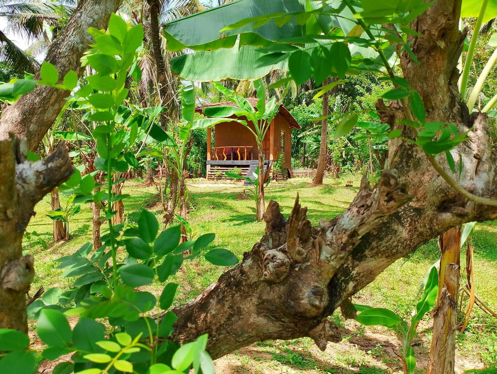 Milk House Cottage Udawalawe Exteriér fotografie