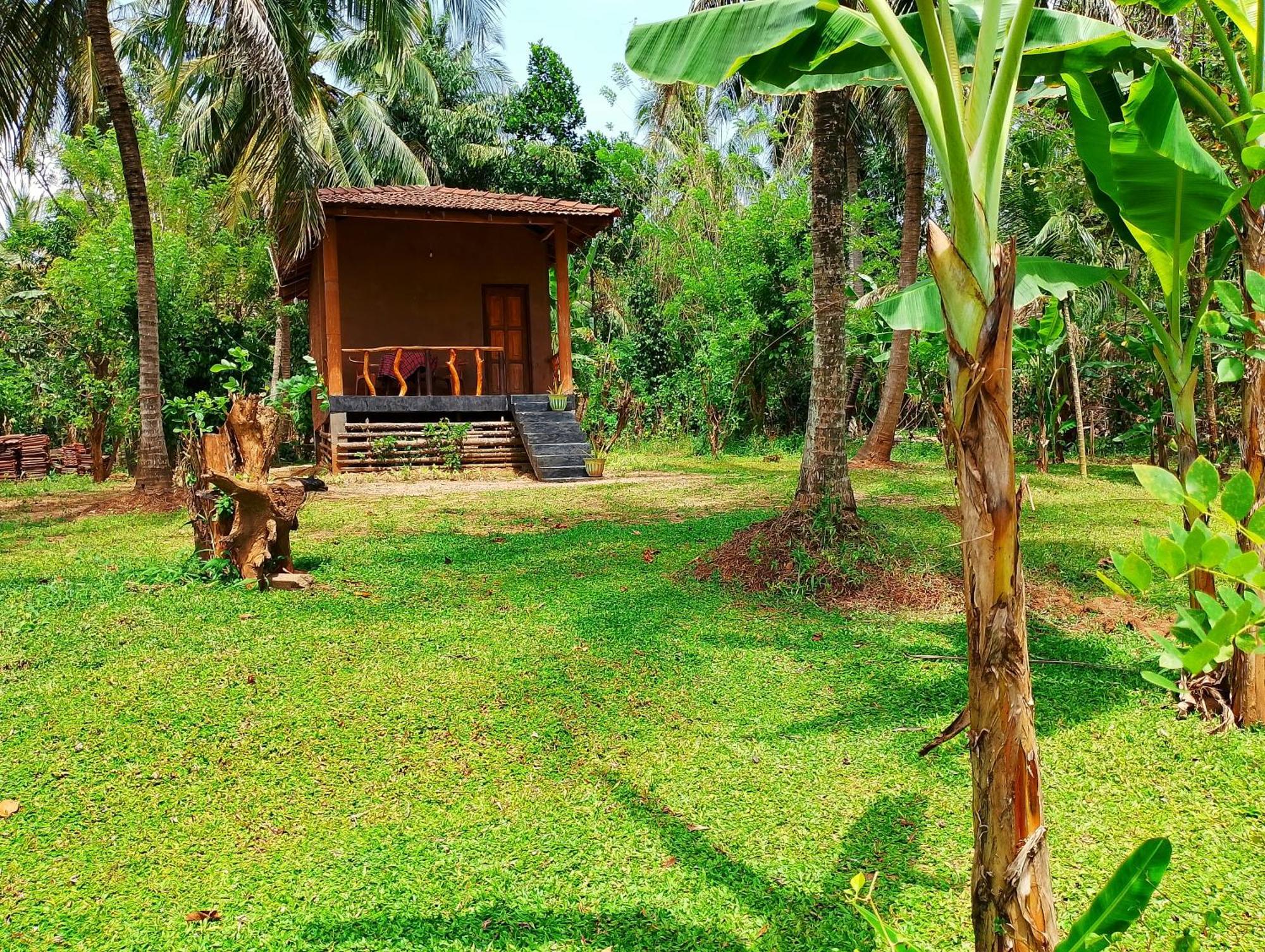 Milk House Cottage Udawalawe Exteriér fotografie
