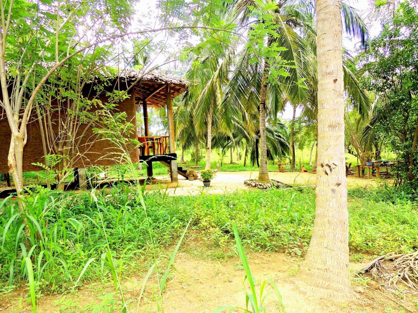 Milk House Cottage Udawalawe Exteriér fotografie