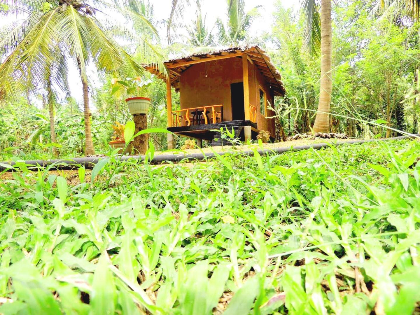 Milk House Cottage Udawalawe Exteriér fotografie