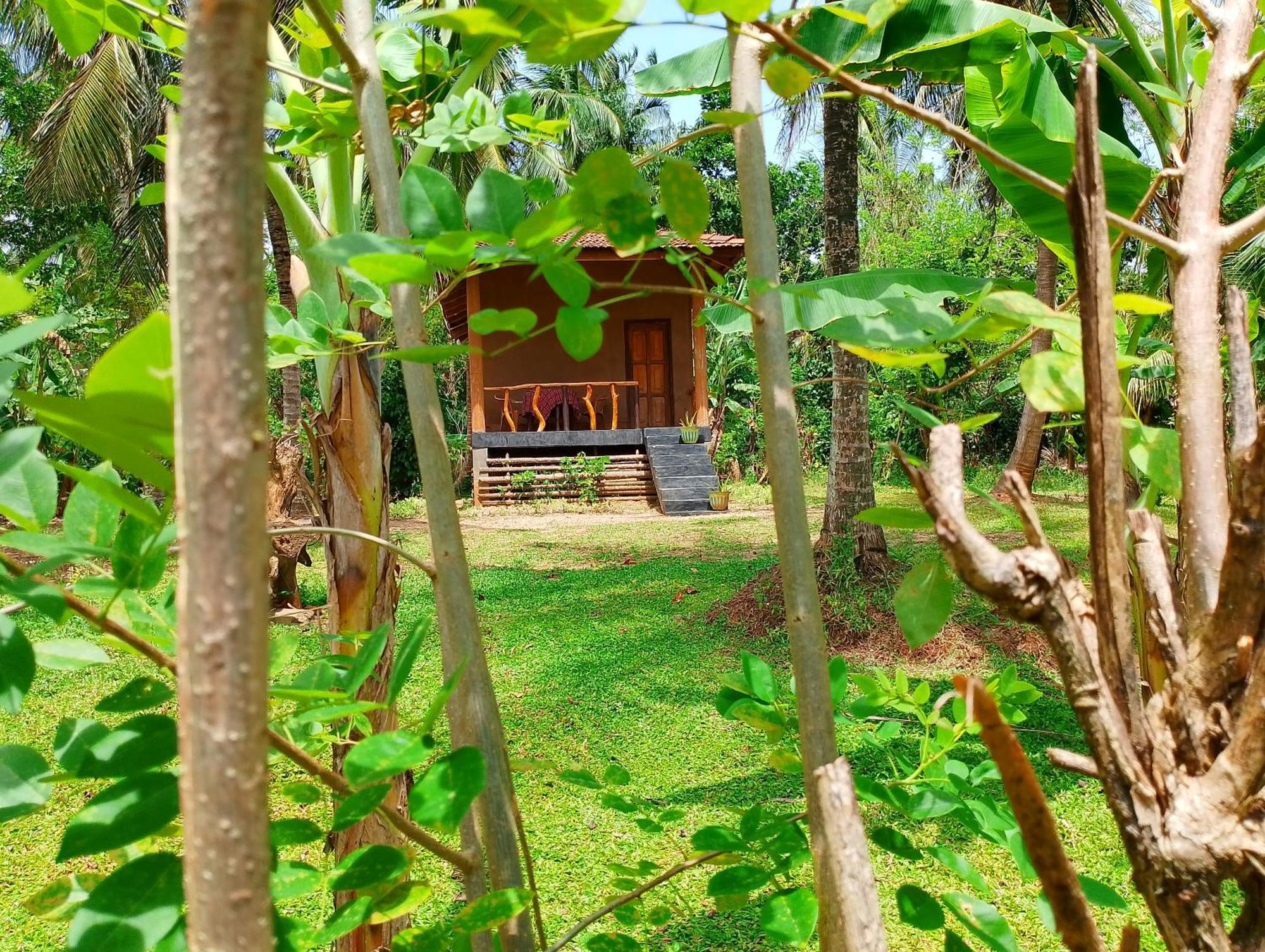 Milk House Cottage Udawalawe Pokoj fotografie